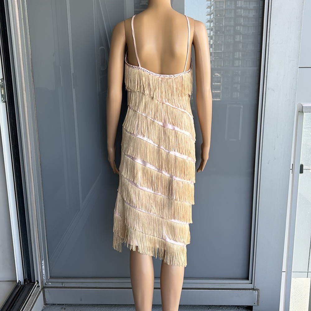 Vintage Fringe Flapper Girl Dress - Picture 3 of 15